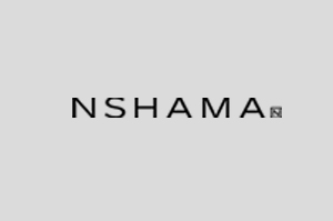 Developer