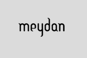 Developer